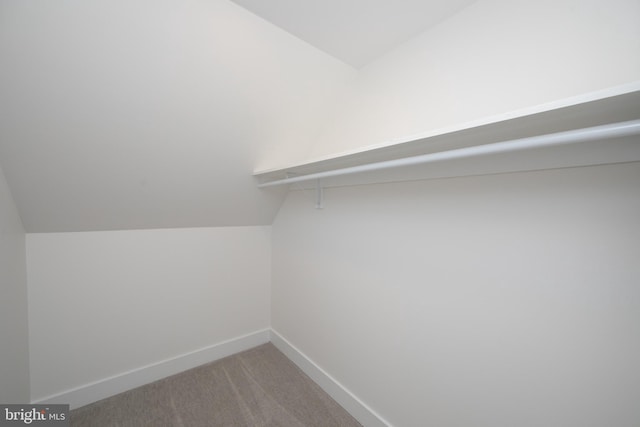 spacious closet featuring carpet floors and vaulted ceiling