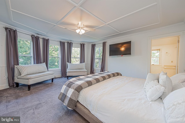 bedroom with carpet floors, multiple windows, and coffered ceiling