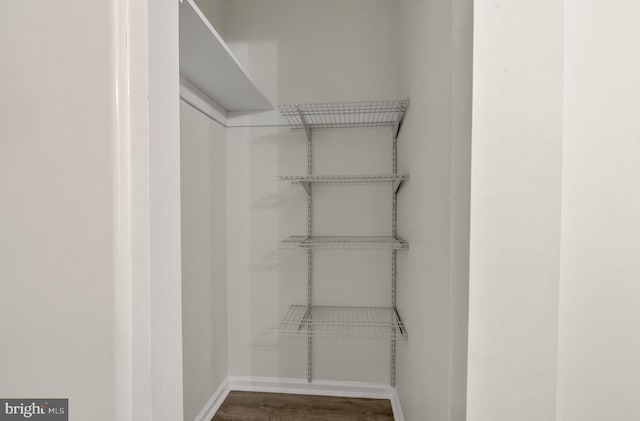 walk in closet with wood finished floors