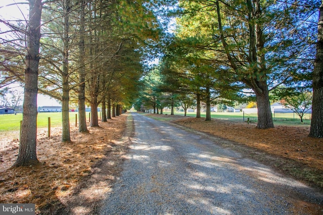 view of road