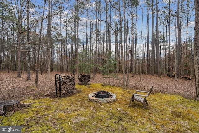 view of yard with a fire pit