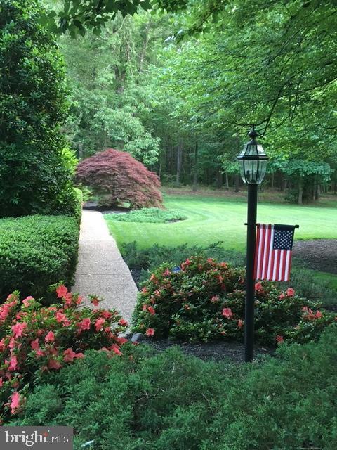 view of home's community with a yard and a forest view