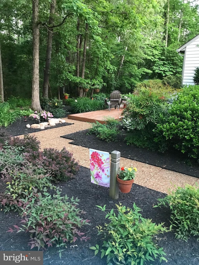 view of yard featuring a patio