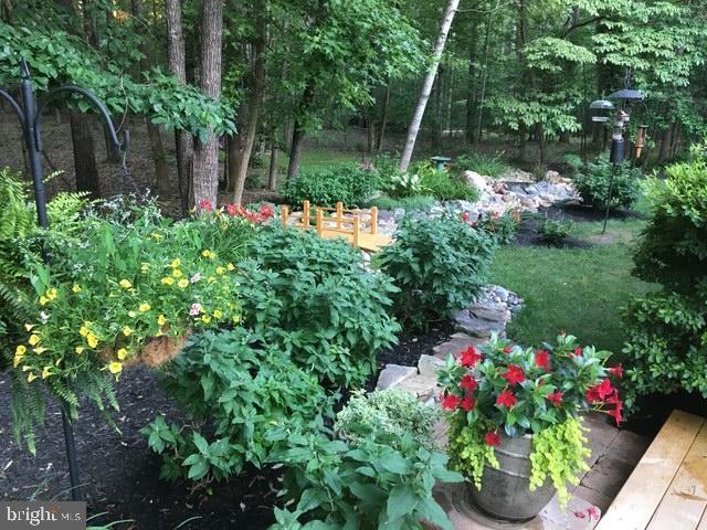 view of yard with a vegetable garden