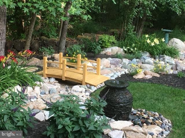 view of yard with a dock