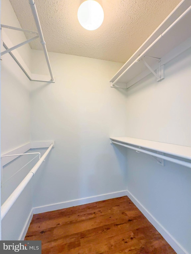 spacious closet featuring wood finished floors