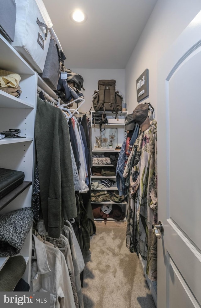 walk in closet with carpet