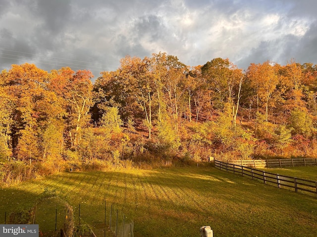 property view of mountains with a forest view