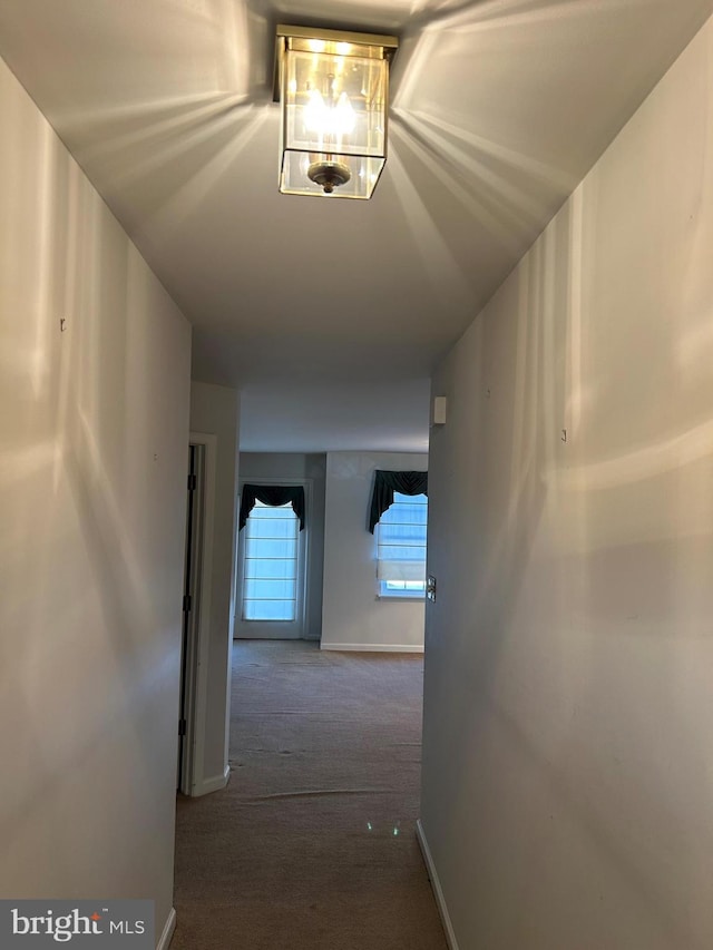 hallway with baseboards and carpet floors