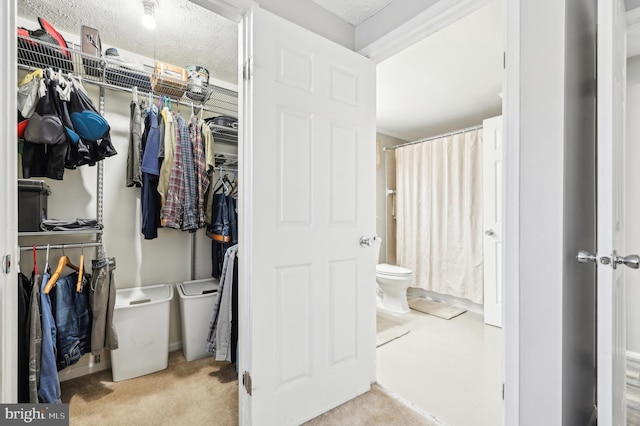 walk in closet featuring carpet floors