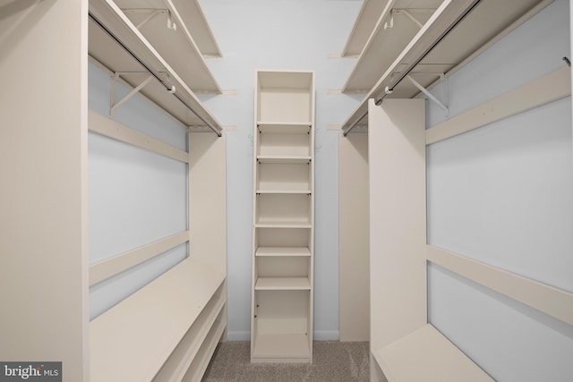 spacious closet with carpet flooring