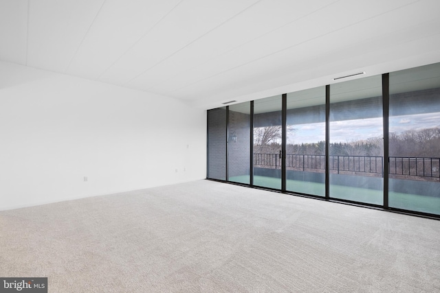 carpeted empty room featuring a wall of windows