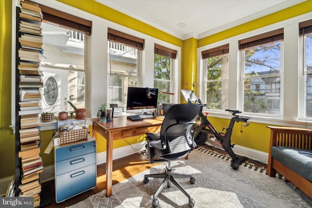 office with baseboards, wood finished floors, and crown molding