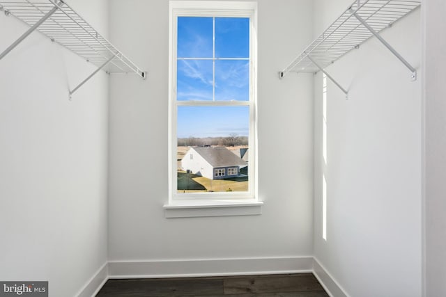 walk in closet with wood finished floors