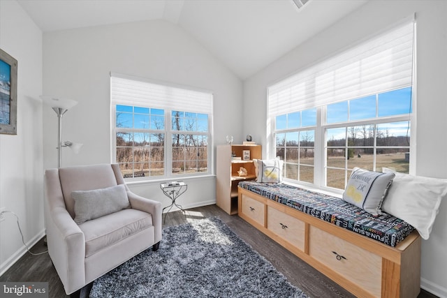 sitting room featuring dark wood-type flooring, a wealth of natural light, vaulted ceiling, and baseboards