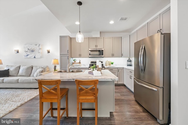 kitchen with dark wood finished floors, stainless steel appliances, a sink, and open floor plan