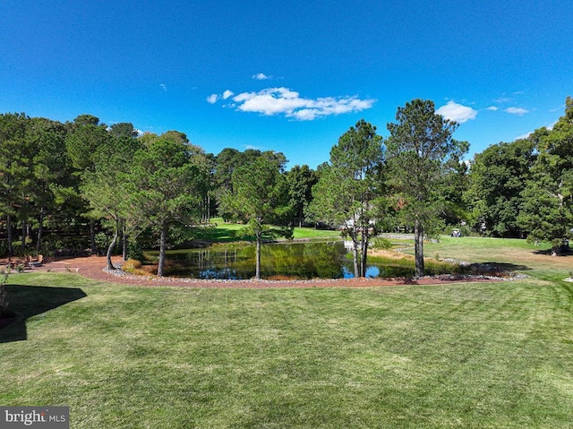 view of yard with a water view