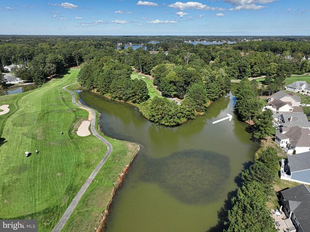 bird's eye view featuring a forest view and a water view