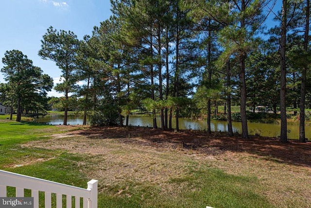 view of yard featuring a water view