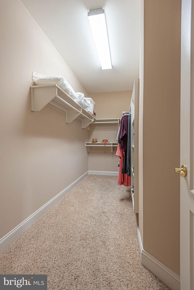 view of walk in closet