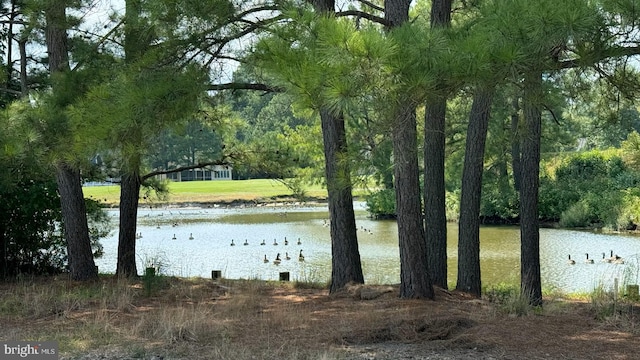 property view of water