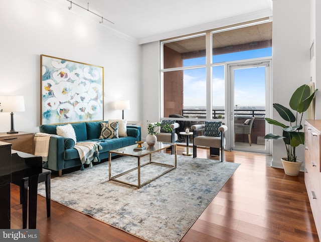 living room with ornamental molding, expansive windows, rail lighting, and wood finished floors