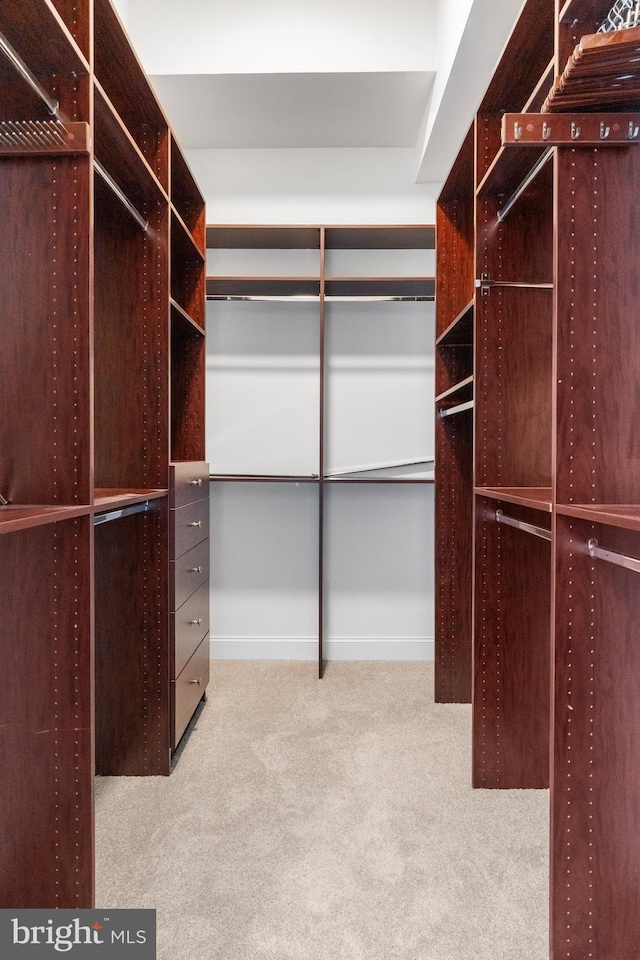 spacious closet with carpet floors