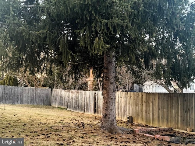 view of yard featuring a fenced backyard