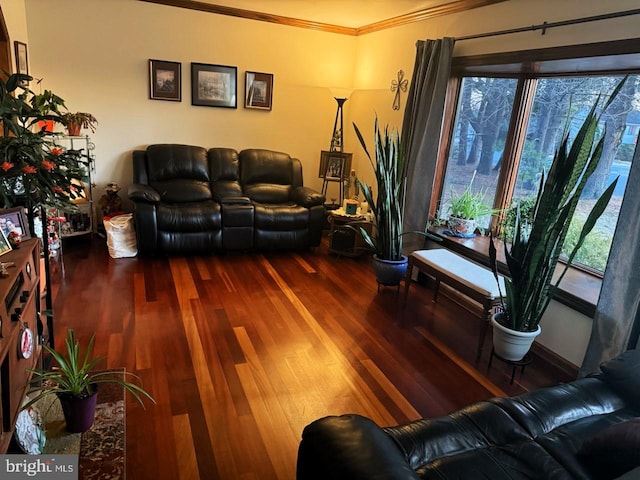 living area featuring ornamental molding and wood finished floors