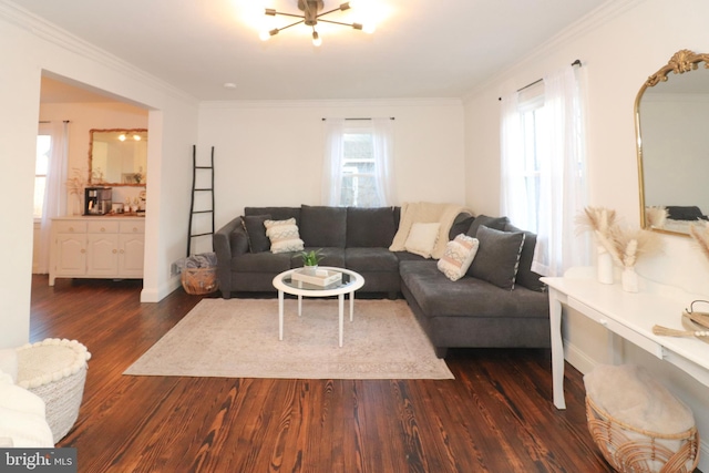 living area with dark wood-style floors, ornamental molding, a wealth of natural light, and baseboards