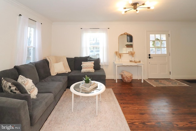 living area featuring dark wood-style floors, baseboards, and ornamental molding