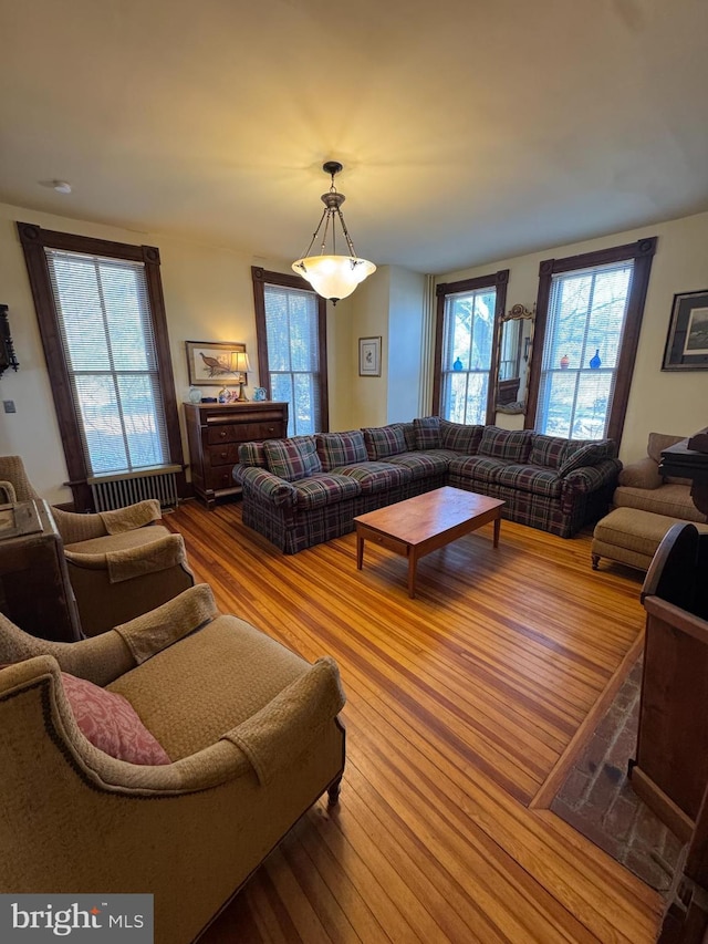 living room with wood finished floors