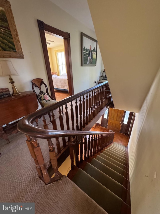 staircase with carpet