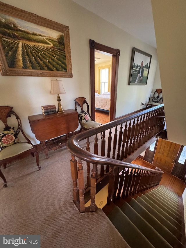 stairway with carpet floors