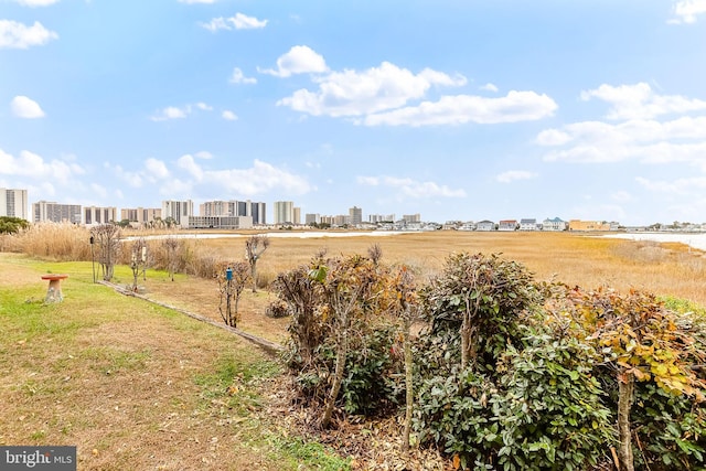 view of yard featuring a view of city