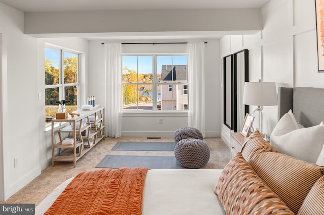 living area featuring baseboards, a wealth of natural light, and light colored carpet