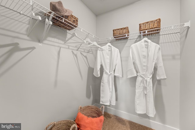 spacious closet with carpet floors