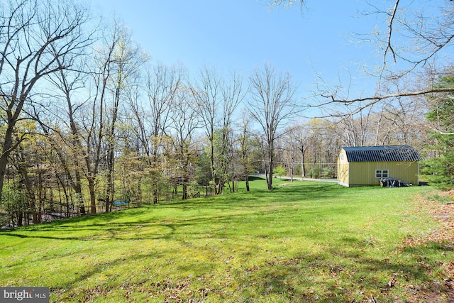 view of yard featuring an outdoor structure and a storage unit