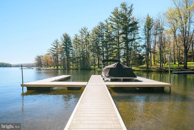 dock area with a water view