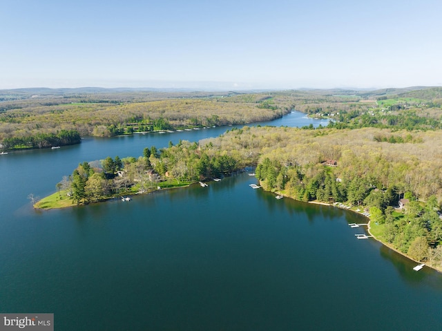 birds eye view of property with a water view and a view of trees