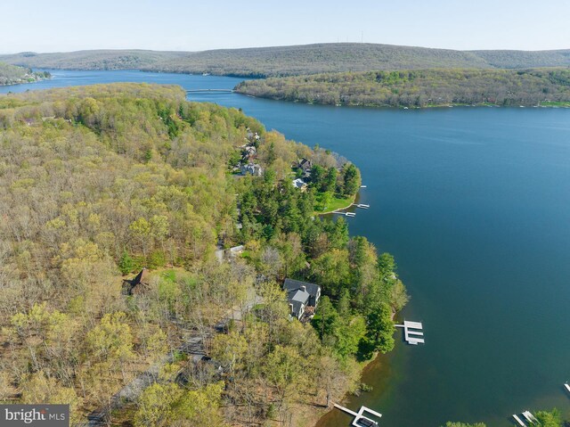 bird's eye view with a water view and a forest view