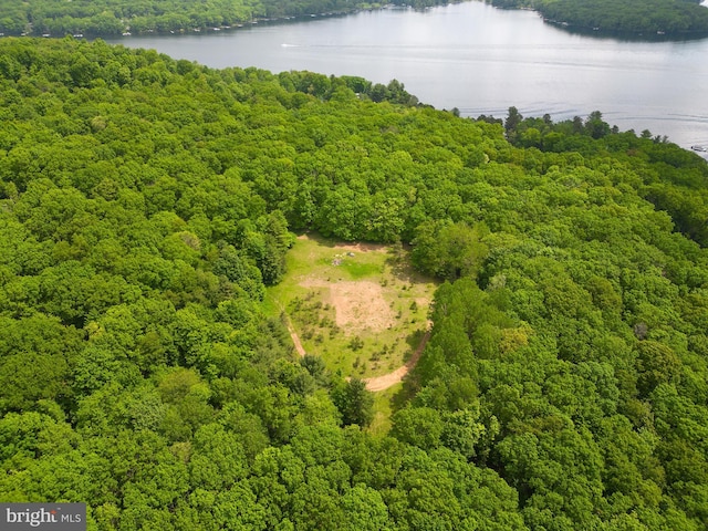 drone / aerial view with a water view and a wooded view