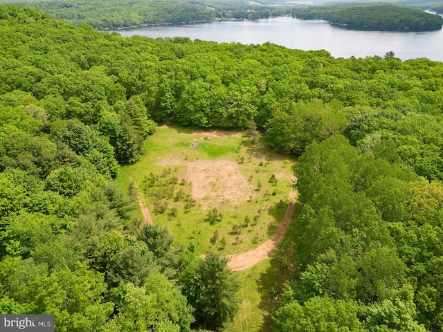 drone / aerial view with a water view and a wooded view