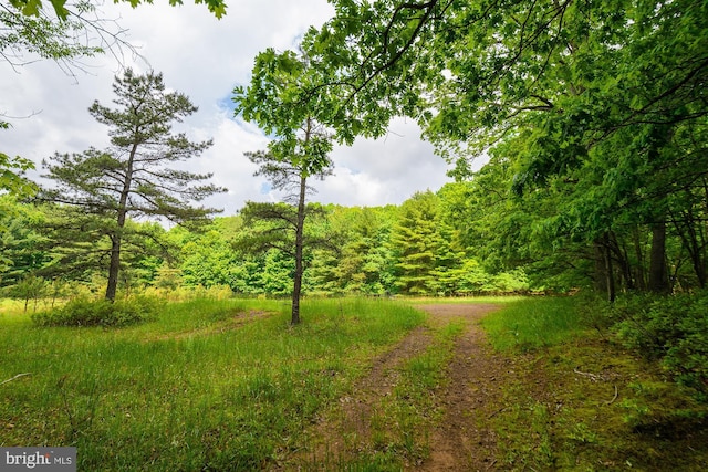 view of nature featuring a forest view