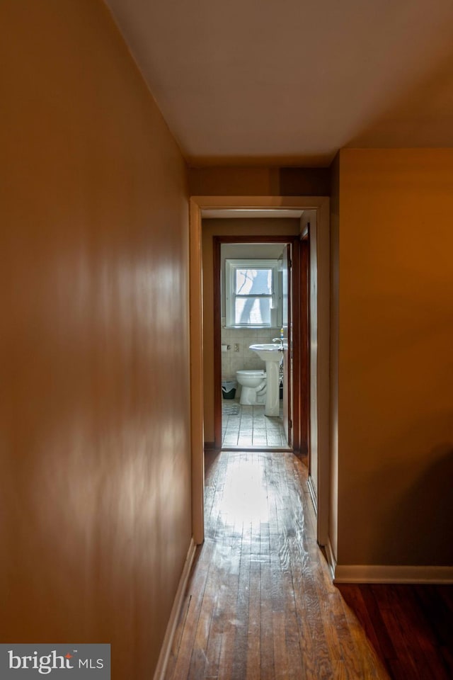 hall with baseboards and hardwood / wood-style flooring