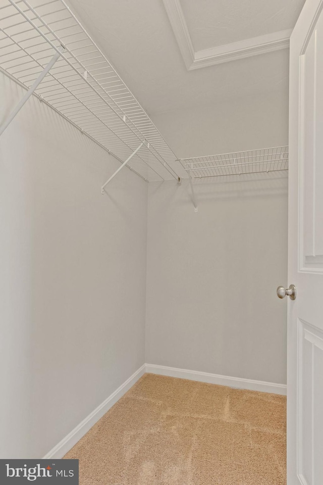 walk in closet with carpet