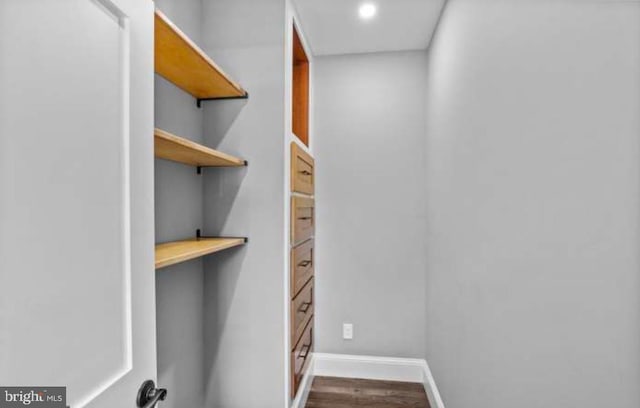 spacious closet with dark wood-style flooring