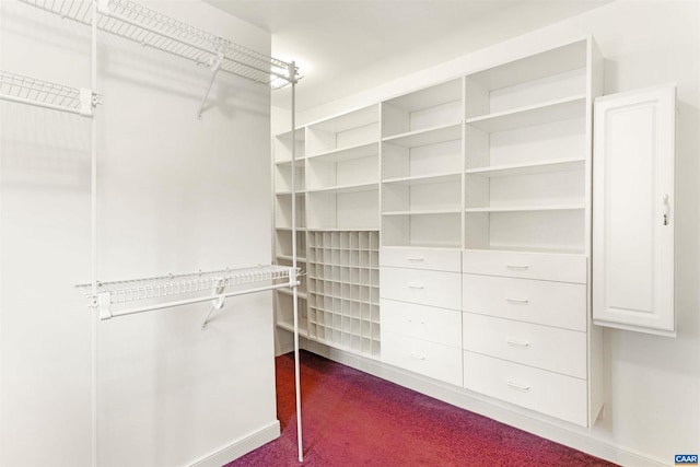 walk in closet featuring dark colored carpet