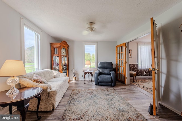 701 Paris Kirby Rd, Milford, DE 19963 - living room featuring french doors, plenty of natural light, wood finished floors, a textured ceiling, and a ceiling fan