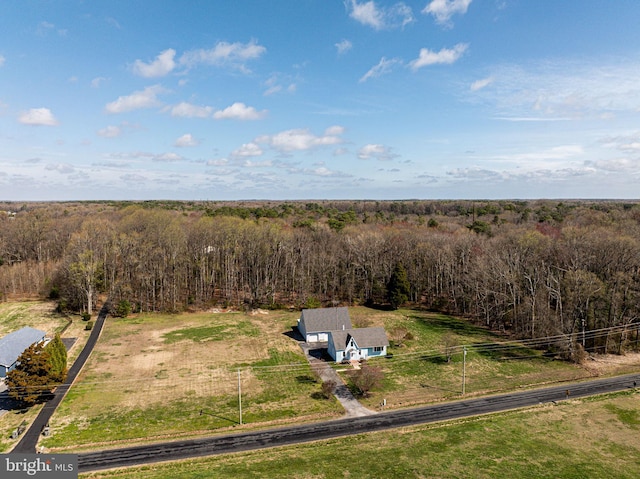 701 Paris Kirby Rd, Milford, DE 19963 - view of subject property with a forest